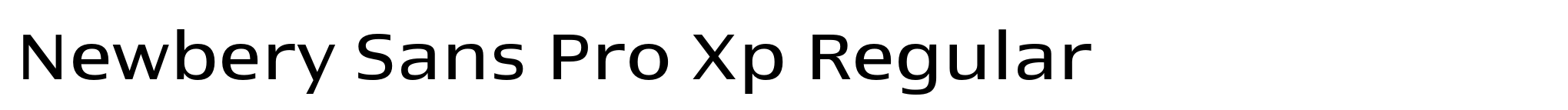 Newbery Sans Pro Xp Regular image